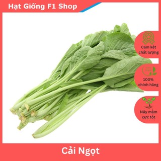 Hạt Giống Cải Ngọt Năng Suất Cao Gói 20 gam