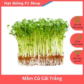 Hạt Giống Rau Mầm Củ Cải Trắng Thân To Dòn (50 Gam)