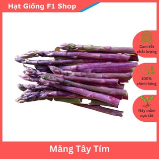 Hạt Giống Măng Tây Tím Ăn Ngon