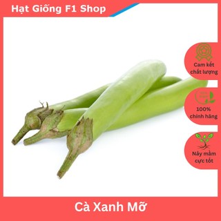 Hạt Giống Cà Xanh Mỡ Trái Dài
