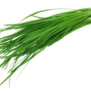 Hạt Giống Hẹ Lá Cao Sản (1 Gam)
