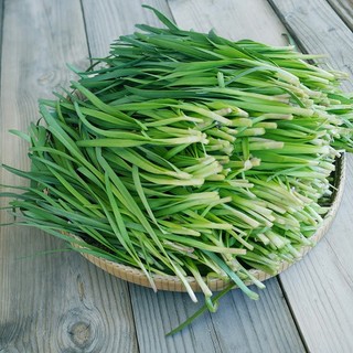 Hạt Giống Hẹ Lá Cao Sản (1 Gam)