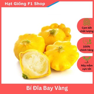 Hạt Giống Bí Đĩa Bay Vàng Dễ Trồng