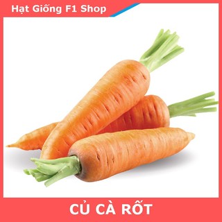 Hạt Giống Củ Cà Rốt Dễ Trồng