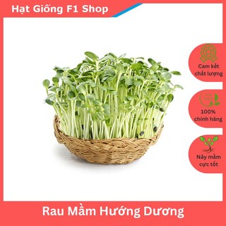 Hạt Giống Rau Mầm Hướng Dương Giòn Ngọt (20 Gam)