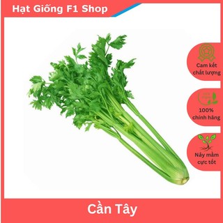 Hạt Giống Cần Tây Lá To Thơm Ngon (5 Gam)