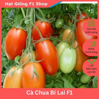 Hạt Giống Cà Chua Bi Lai F1 Chịu Nhiệt Tốt