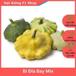 Hạt Giống Bí Đĩa Bay Mix Dễ Trồng (5H)