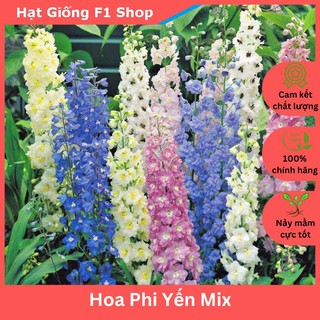 Hạt Giống Hoa Phi Yến Nhiều Màu Mix (004.F1)