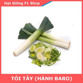 Hạt Giống Tỏi Tây (Hành Boa Rô)