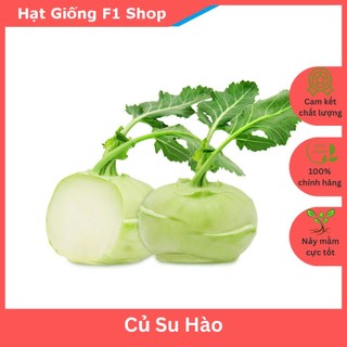 Hạt Giống Củ Su Hào Năng Suất Cao