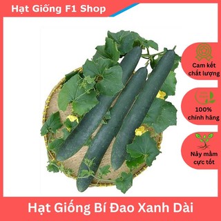 Hạt giống bí đao xanh trái dài f1 java ruột xanh