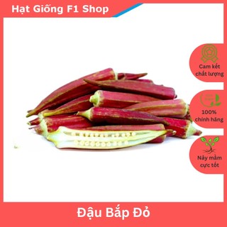 Hạt Giống Đậu Bắp Đỏ Sai Trái