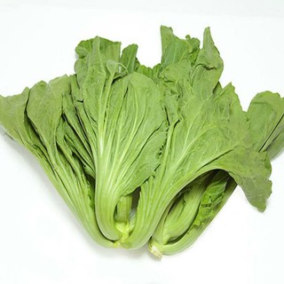 Hạt Giống Cải Bẹ Dưa Cuộn Lớn