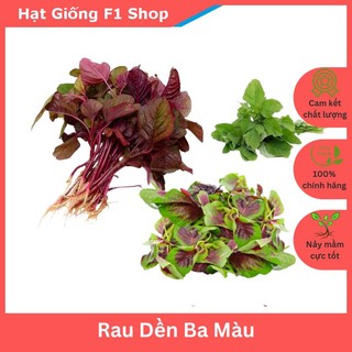 Hạt Giống Rau Dền Ba Màu Ngon Mềm