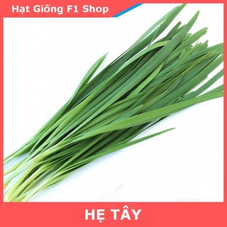 Hạt Giống Hẹ Tây (1 Gam)