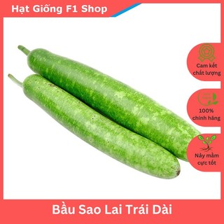 Hạt Giống Bầu Sao Lai Trái Dài Dễ Trồng