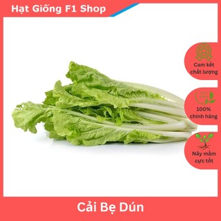 Hạt Giống Cải Bẹ Dún Dễ Trồng 10 Gam