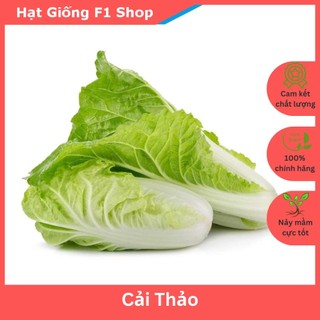 Hạt Giống Cải Thảo Lai F1 Năng Suất Cao