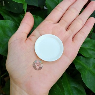 Đĩa tròn nhựa 4cm
