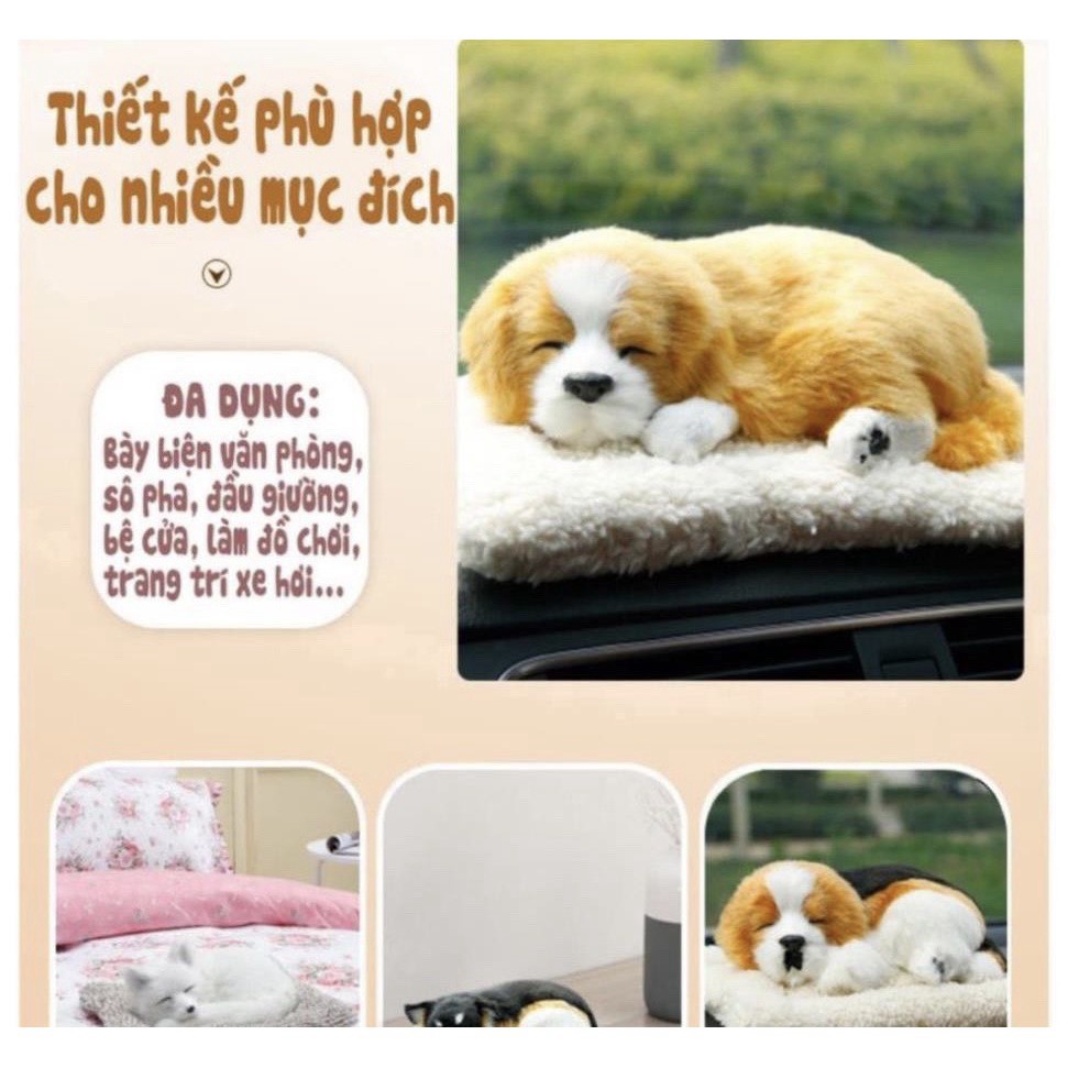 Sale Xả Kho Thú bông GIỐNG THẬT 99% chó mèo sói gấu lõi than hoạt tính lọc không khí khử mùi trang trí xe hơi ô tô xehoi