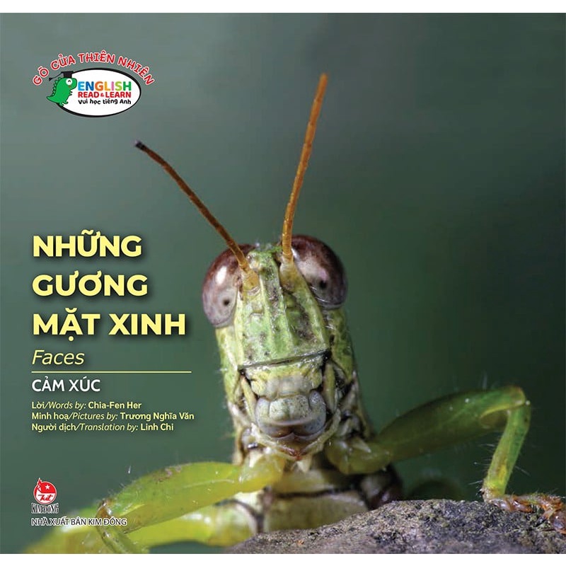 Sách Gõ cửa thiên nhiên - Những gương mặt xinh - Faces