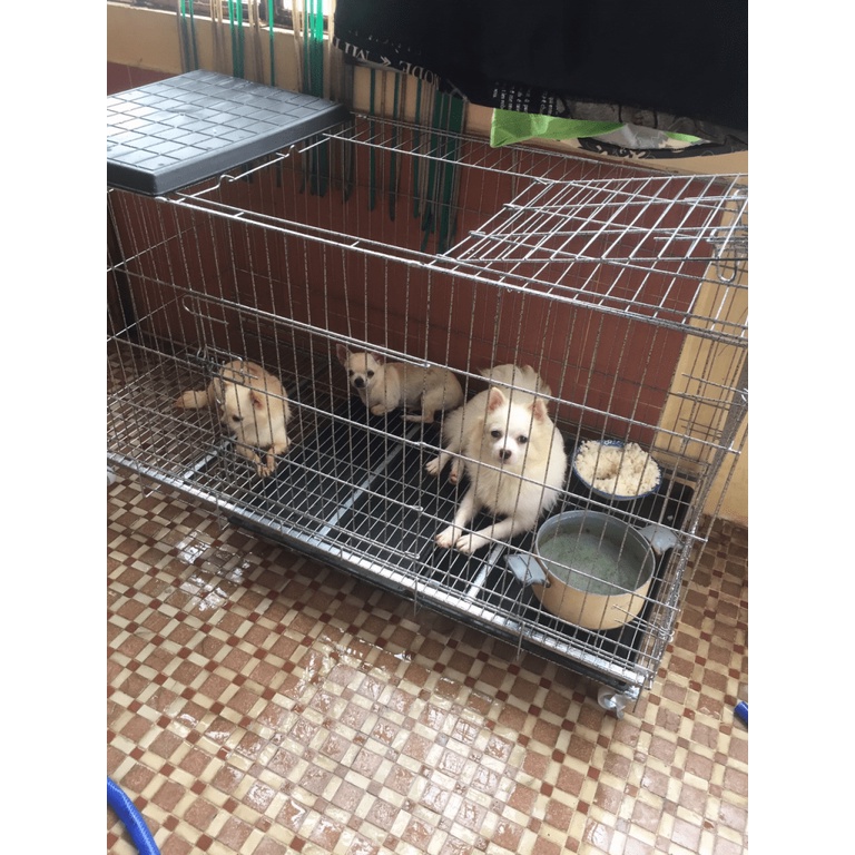 Chuồng Chó LỚn  - Vân Đá sơn tĩnh điện - chuồng gà - Hàng