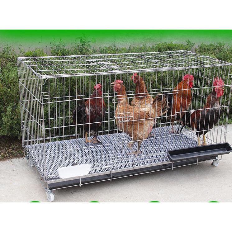 Chuồng Chó LỚn  - Vân Đá sơn tĩnh điện - chuồng gà - Hàng