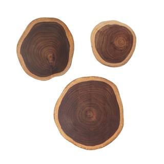 Miếng gỗ tự nhiên dày 2cm dùng chụp ảnh, decor, trang trí phòng, quán cafe, khách sạn