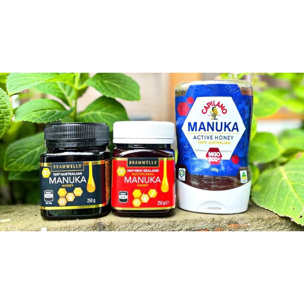 Mật ong manuka capilano mgo300+ active honey squeeze bottles chai 340g Healthy Care Quatangme1