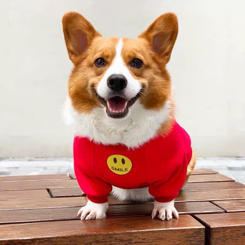 SALE rẻ Quần Áo Dễ Thương Cho Cún Con Áo Len Lông Cừu Mặt Cười Mùa Thu Và Mùa Đông Ấm Áp Cho Mèo Shih Tzu lovelovepet