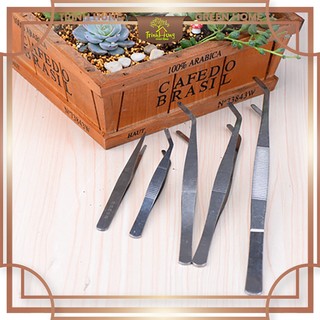 Nhíp đầu cong thép không gỉ - hỗ trợ setup tiểu cảnh, bán cạn, terrarium