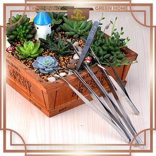 Nhíp đầu cong thép không gỉ - hỗ trợ setup tiểu cảnh, bán cạn, terrarium