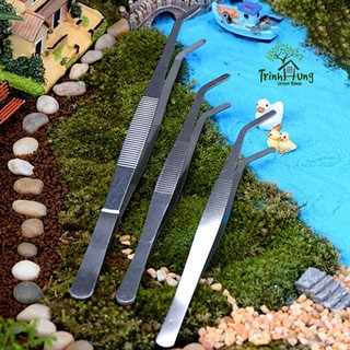Nhíp đầu cong thép không gỉ - hỗ trợ setup tiểu cảnh, bán cạn, terrarium