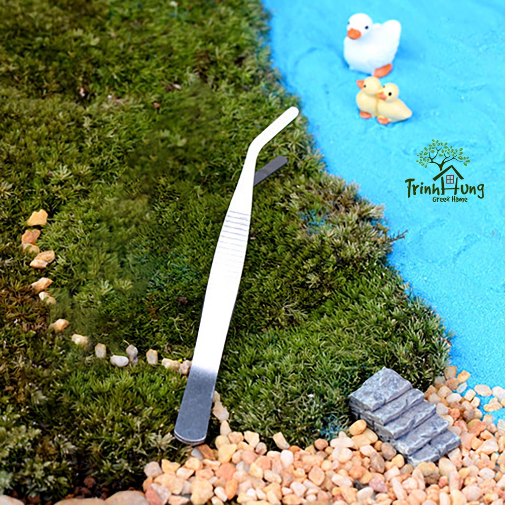 Nhíp đầu cong 17cm thép không gỉ