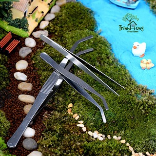 Nhíp đầu cong thép không gỉ - hỗ trợ setup tiểu cảnh, bán cạn, terrarium
