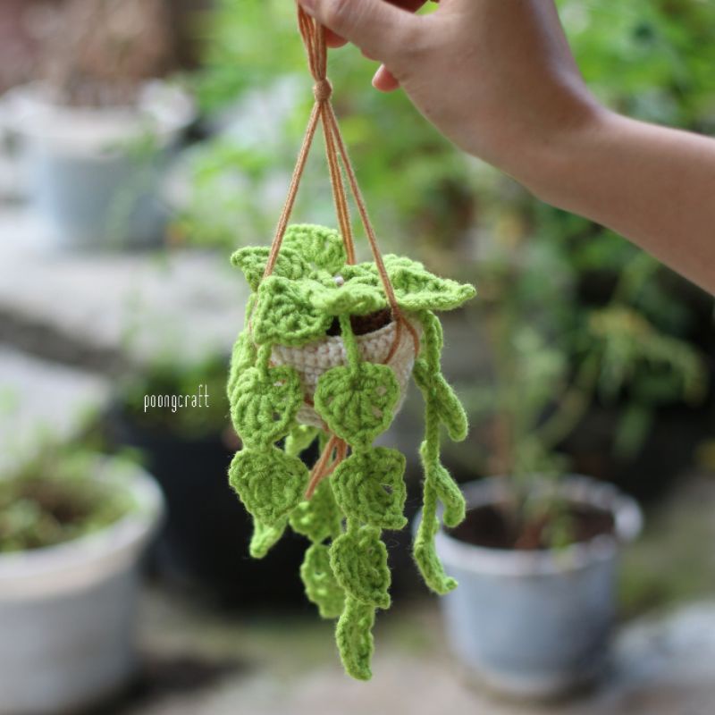 Chậu cây lá treo handmade • 𝐩𝐥𝐚𝐧𝐭𝐬 𝐡𝐚𝐧𝐠𝐢𝐧𝐠 𝐝𝐞𝐜𝐨𝐫 •