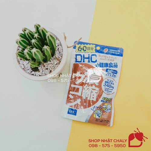 Viên uống giải rượu DHC Concentrated Turmeric 120 viên Nhật nội địa