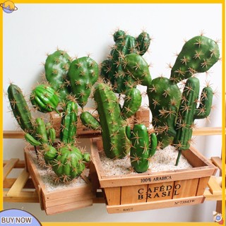<uStuttg> Cây xương rồng giả để bàn trang trí đẹp mắt xinh xắn