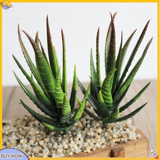 <uStuttg> 1 Cây Lô Hội Giả Trang Trí Bàn Làm Việc