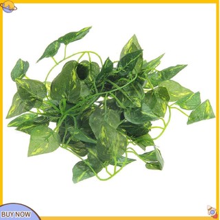 <uStuttg> Dây Lá Trầu Bà Giả Dài 2m Dùng Trang Trí