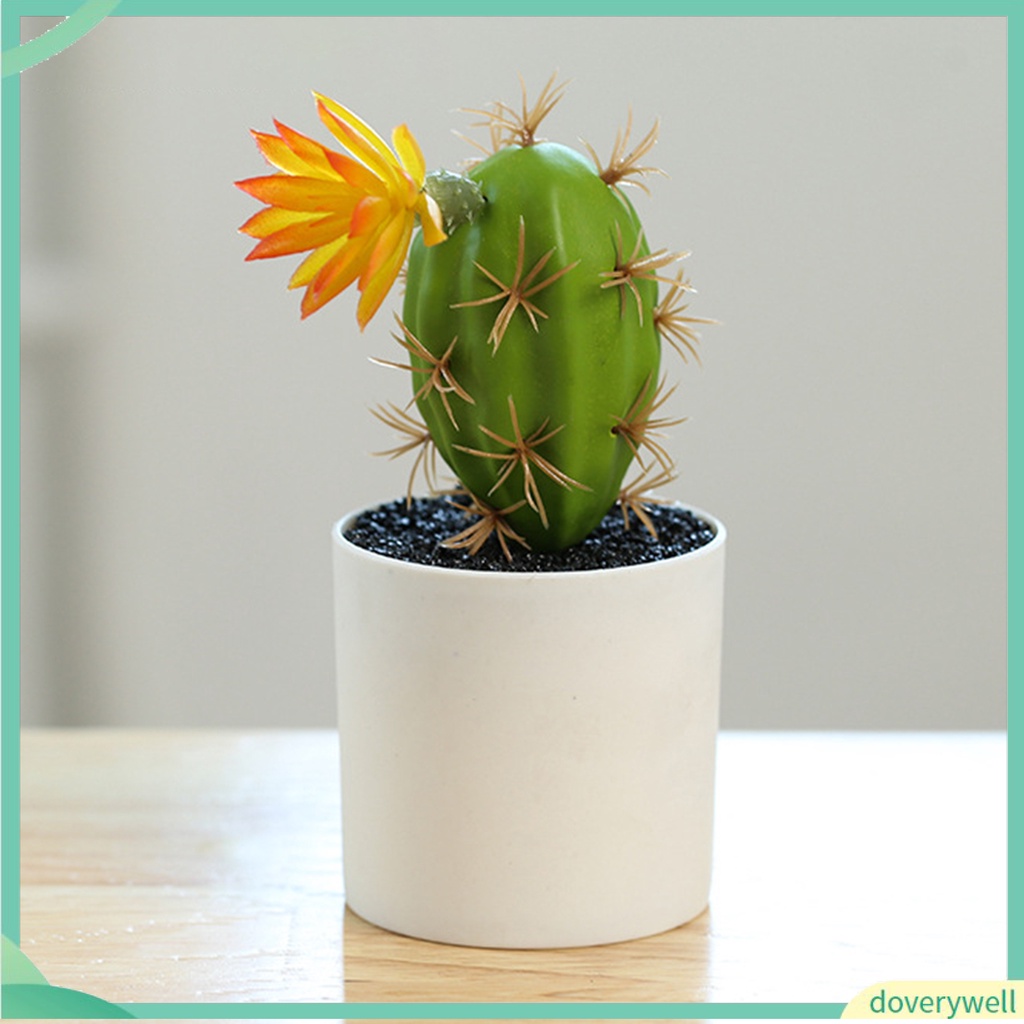 Chậu Cây Bonsai Mini Không Phai Dùng Trang Trí Bàn Làm Việc