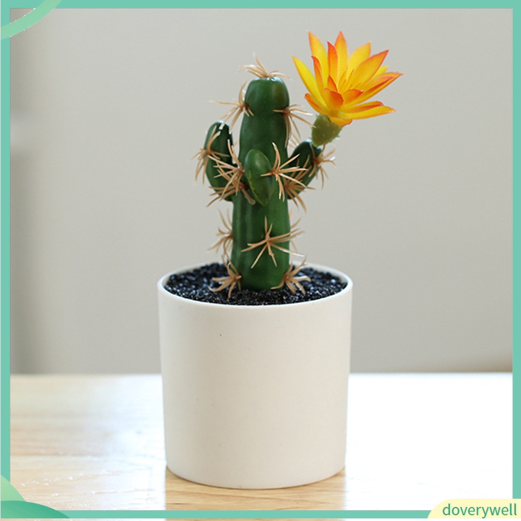 Chậu Cây Bonsai Mini Không Phai Dùng Trang Trí Bàn Làm Việc