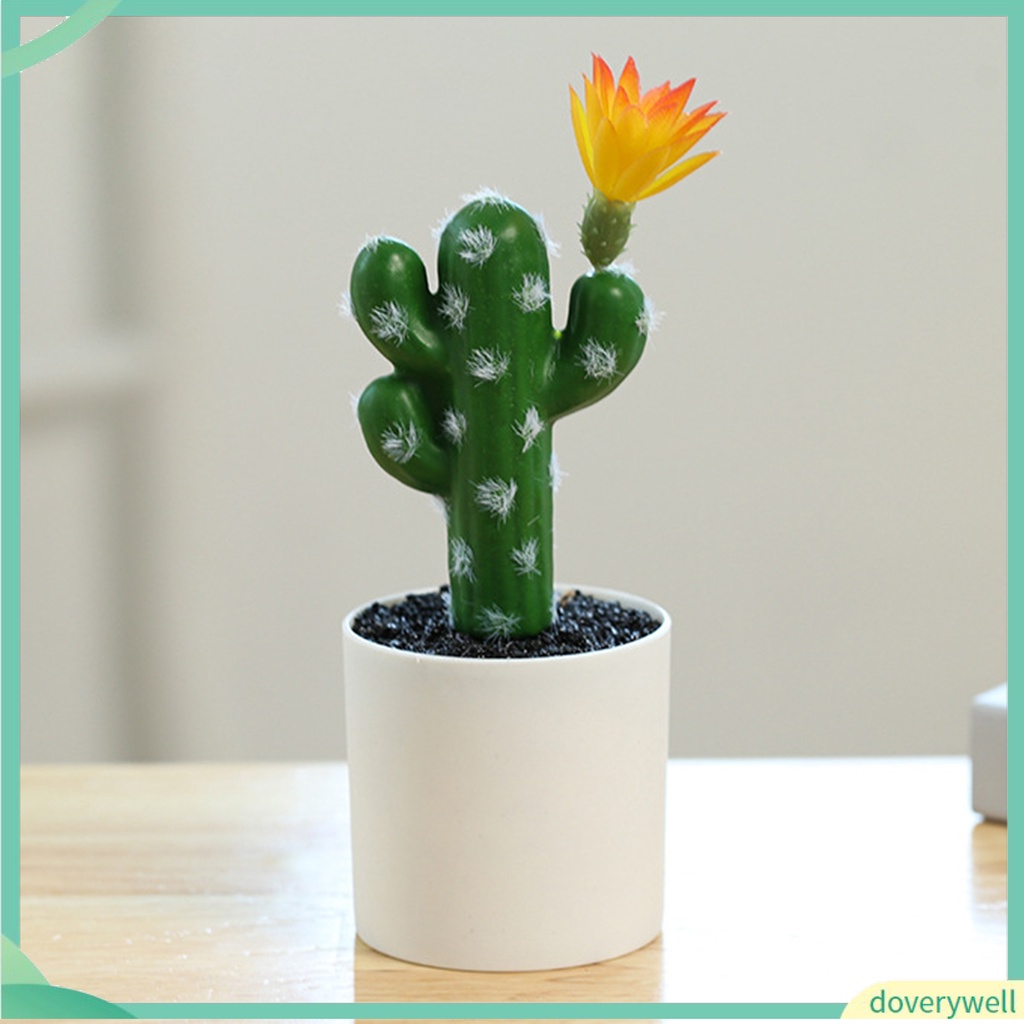 Chậu Cây Bonsai Mini Không Phai Dùng Trang Trí Bàn Làm Việc