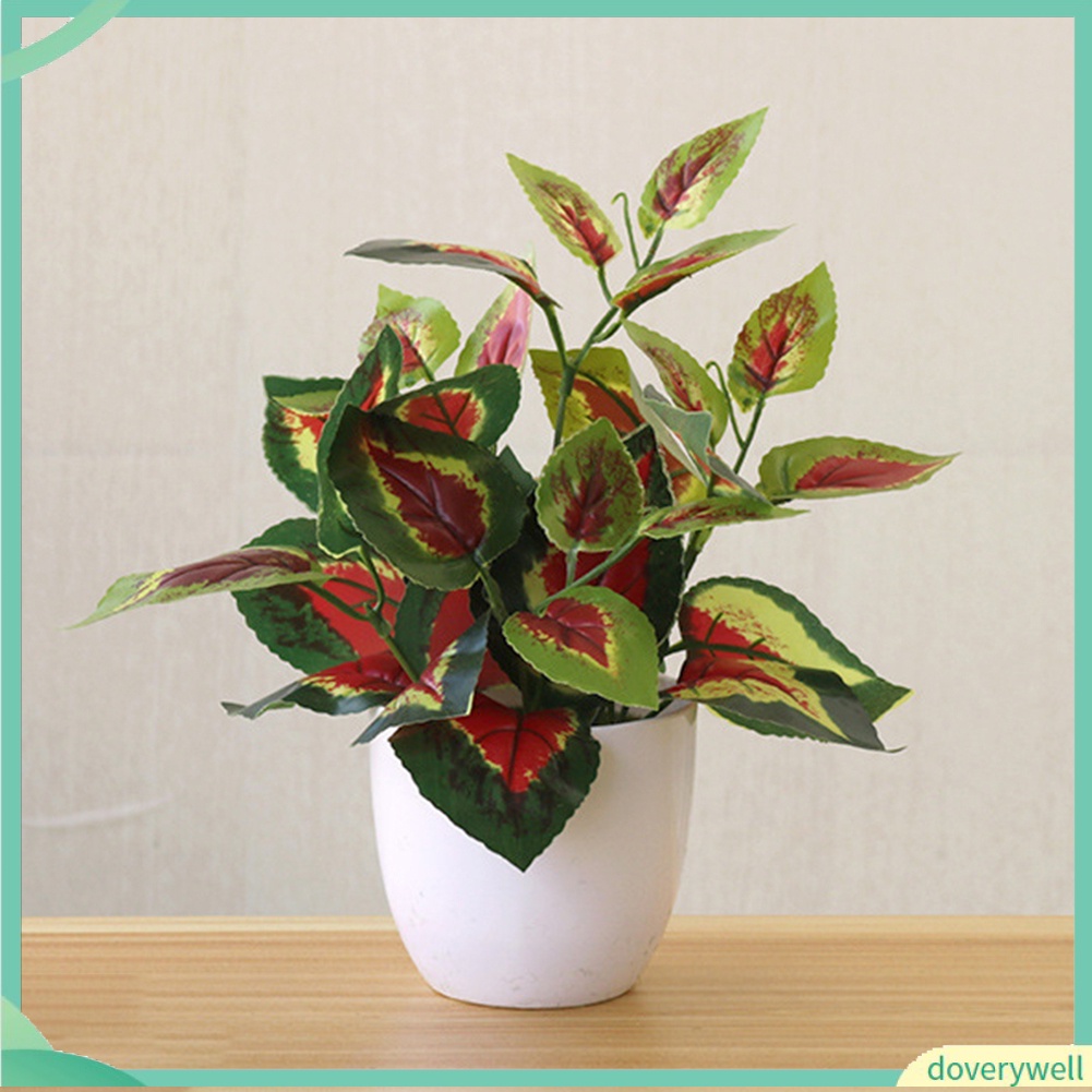 Chậu Cây Giả Để Bàn Trang Trí Nhà Cửa / Văn Phòng