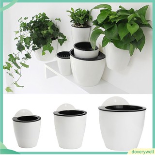 (Doverywell) Chậu hoa treo tường trang trí sáng tạo