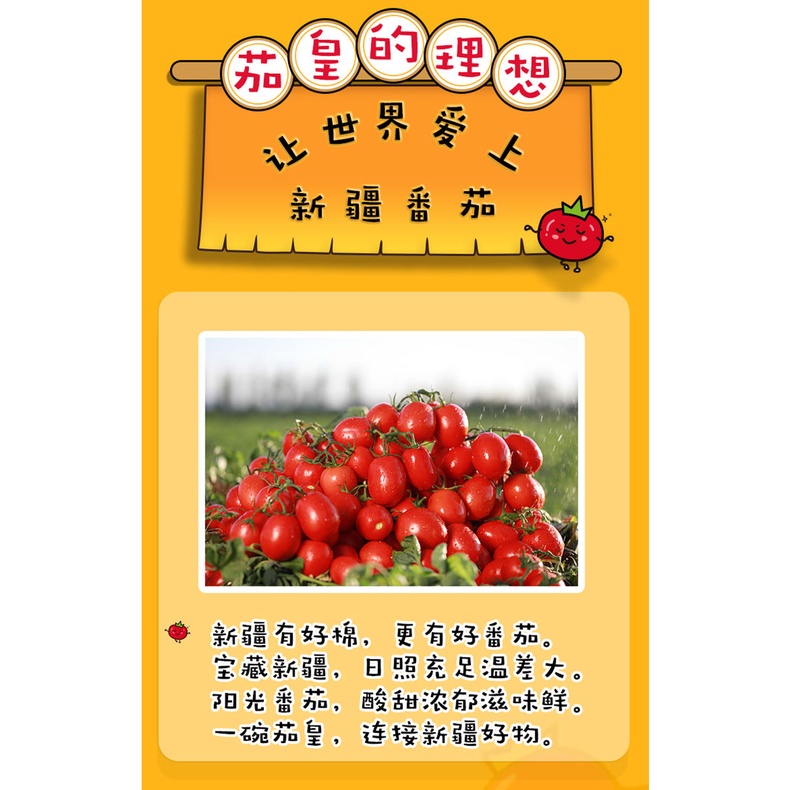 Bộ 10 Túi Thơm Cà Chua Trứng Mì Ăn Liền Jaskj.Vn