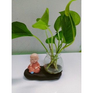 Chậu trồng cây thủy sinh chú tiểu
