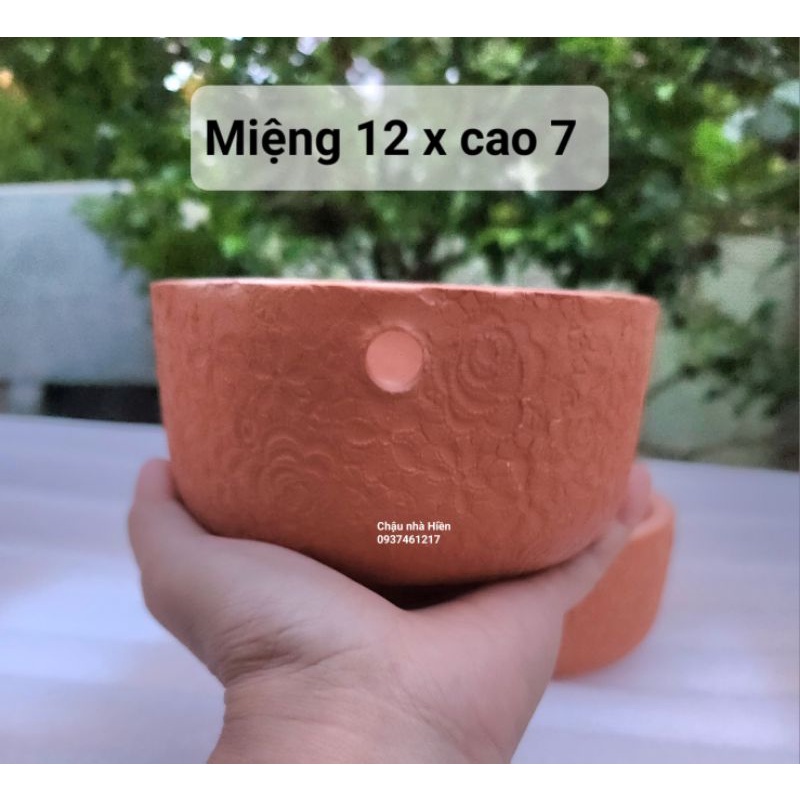 Chậu đất nung - chậu treo bông hồng