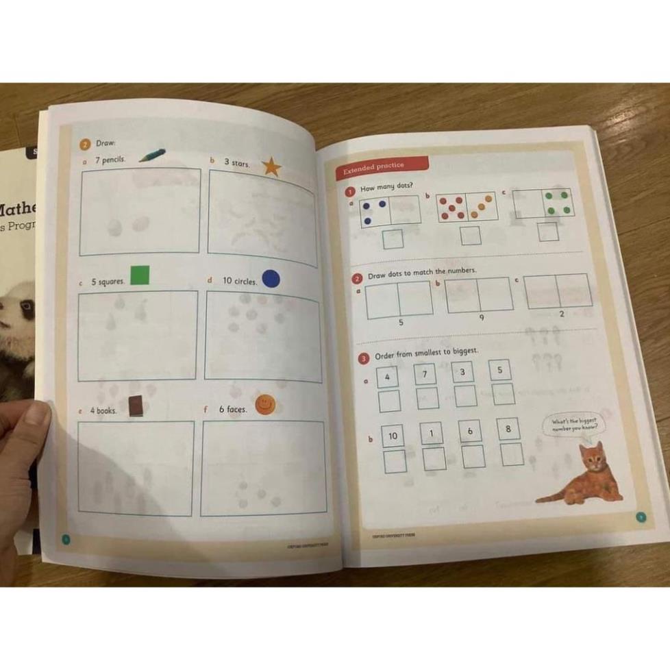 Oxford Mathematics Primary Years Programme